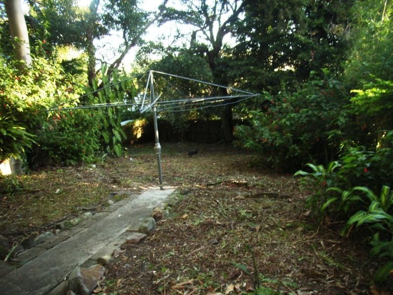 Noosa Heads QLD 4567