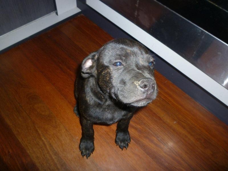 10 Tolkien Pl, Coolum Beach QLD 4573