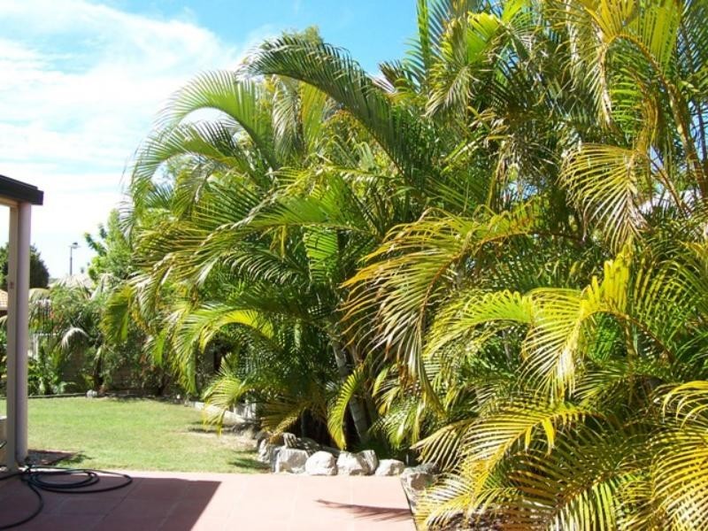 1 Highgrove  Cct, Peregian Springs QLD 4573