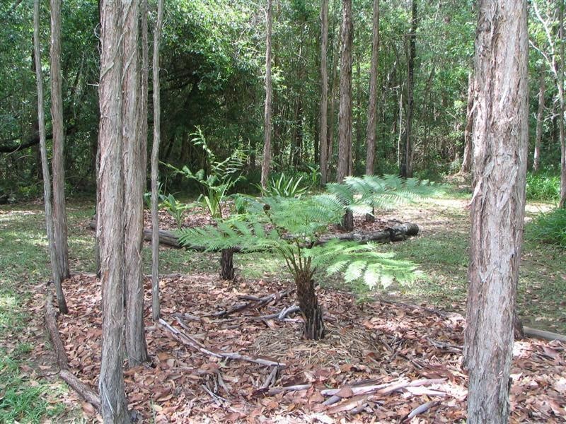 13 Crab Apple Ct, Cooroy QLD 4563