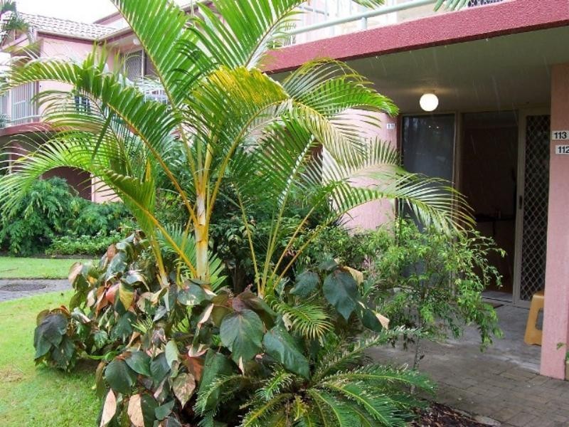 111/24 Lake Weyba Drive Dr, Noosaville QLD 4566