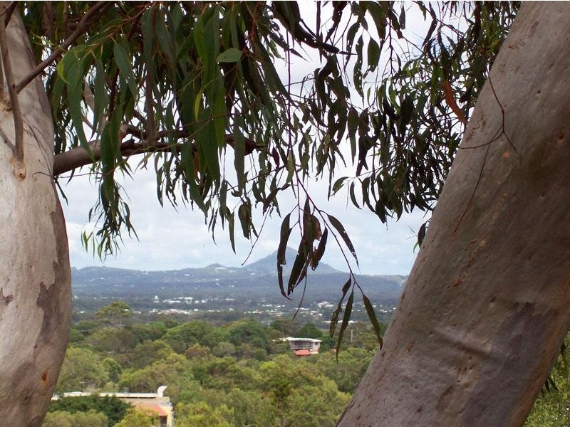 Noosa Heads QLD 4567