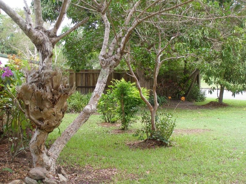 2 Lake  Ct, Tewantin QLD 4565