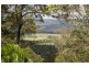 118 Elouera Dr, Ninderry QLD 4561
