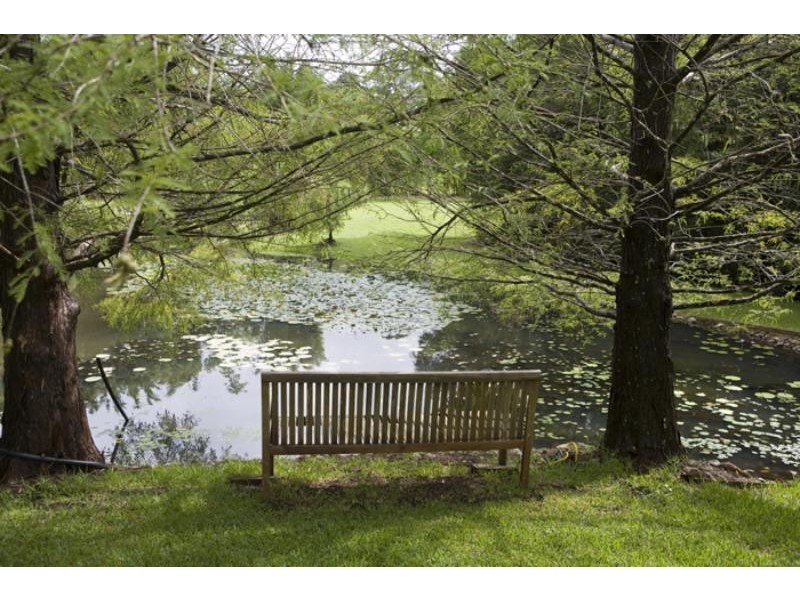 210 Lone Hand Rd, Eumundi QLD 4562