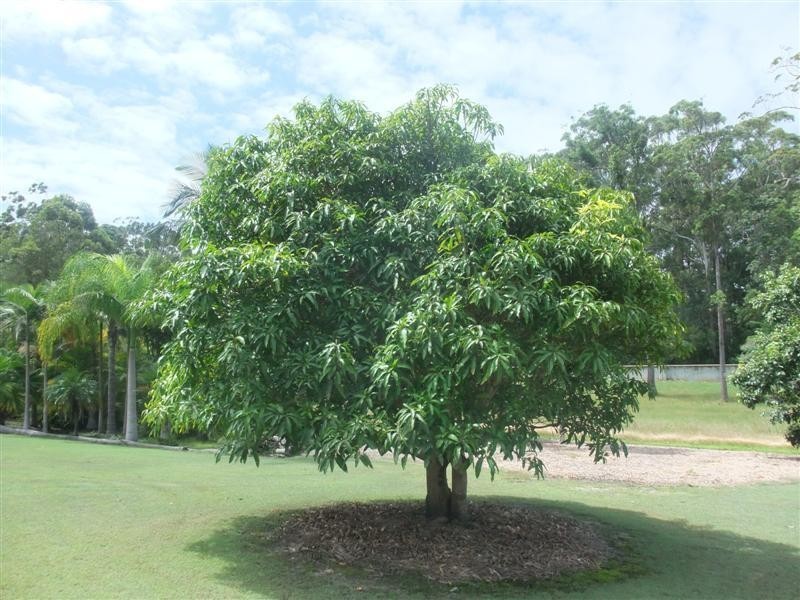 5 Kingsgate Dr, Tinbeerwah QLD 4563