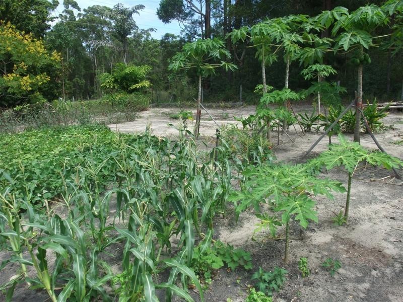 5 Kingsgate Dr, Tinbeerwah QLD 4563