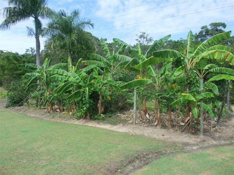 5 Kingsgate Dr, Tinbeerwah QLD 4563