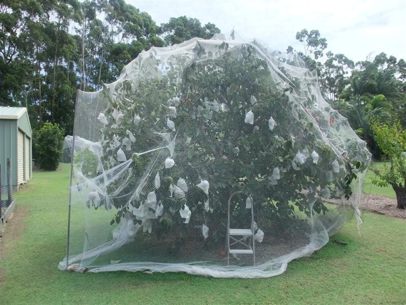 5 Kingsgate Dr, Tinbeerwah QLD 4563