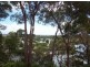 Noosa Heads QLD 4567