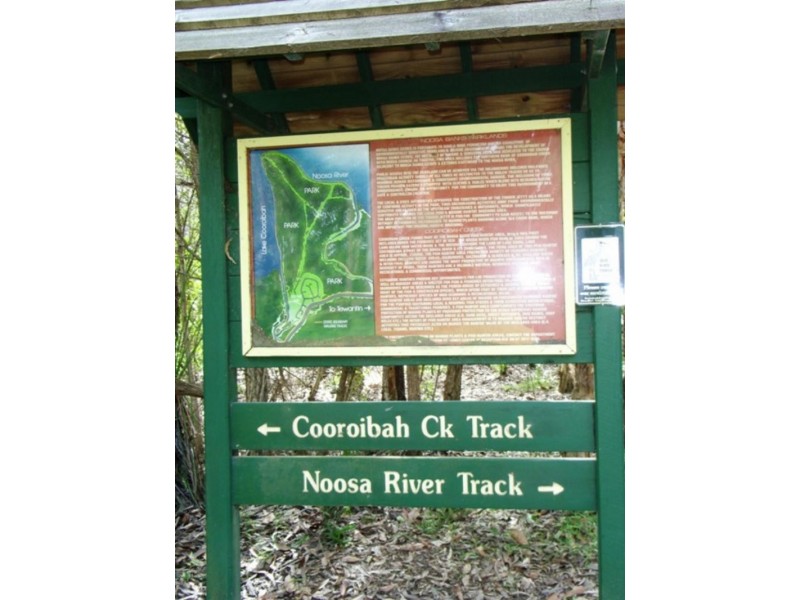 11 Tingara  Ct, Tewantin QLD 4565