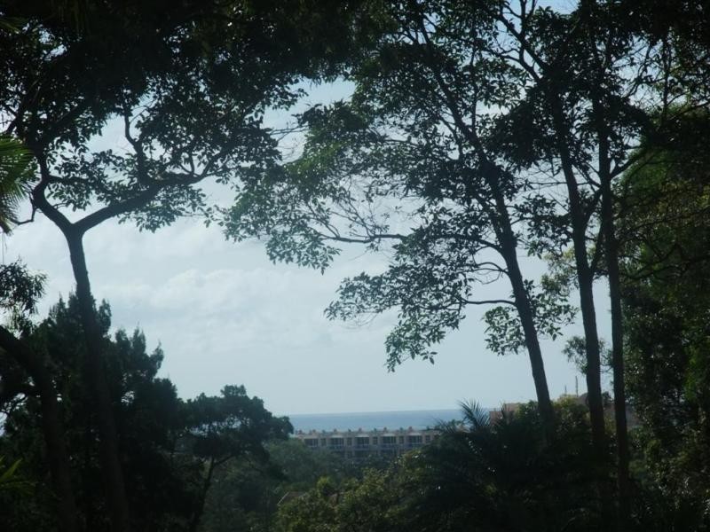 Noosa Heads QLD 4567