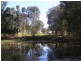 Cooroibah QLD 4565