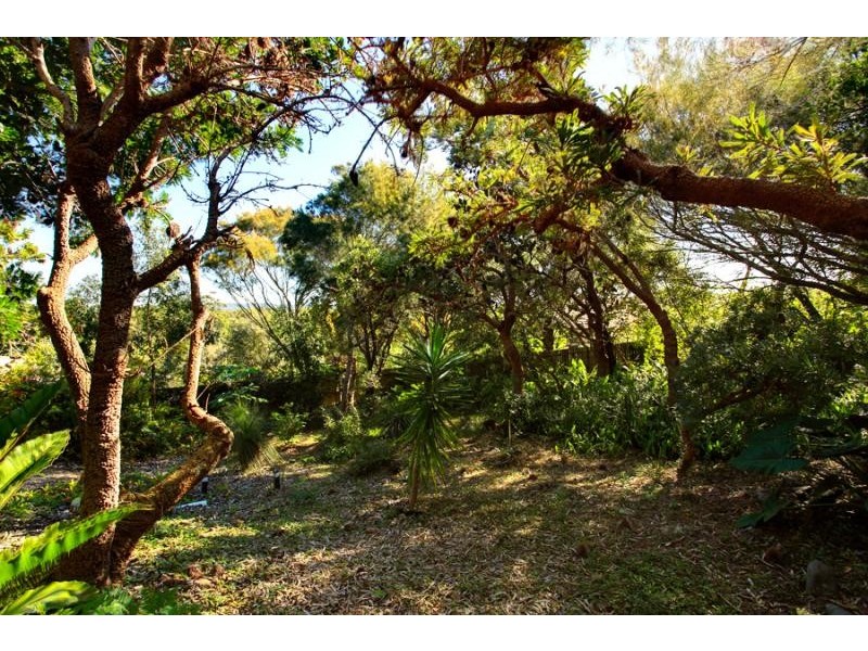 22 Lancewood Ave, Peregian Beach QLD 4573