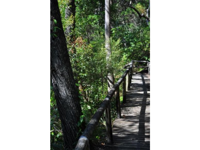 Noosa Heads QLD 4567