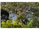Noosa Heads QLD 4567