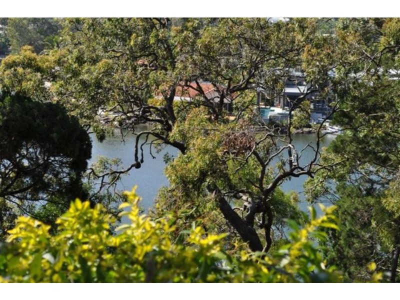 Noosa Heads QLD 4567