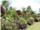 166 Mooloo Rd, Mooloo QLD 4570