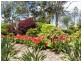 166 Mooloo Rd, Mooloo QLD 4570