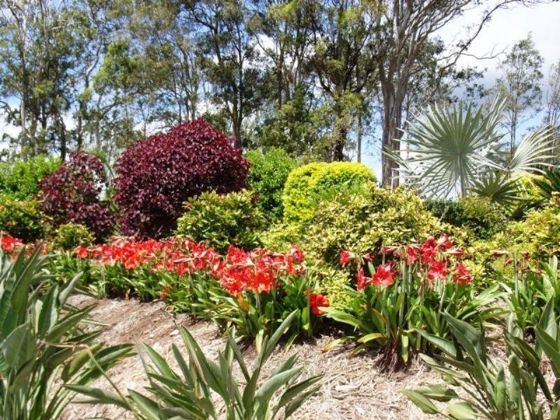 166 Mooloo Rd, Mooloo QLD 4570