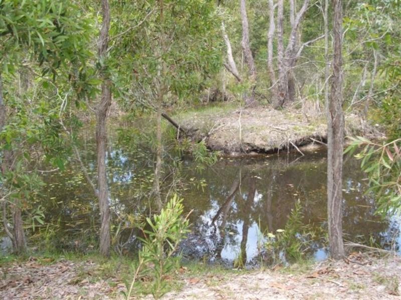 11 Stockwhip Ct, Cooroibah QLD 4565