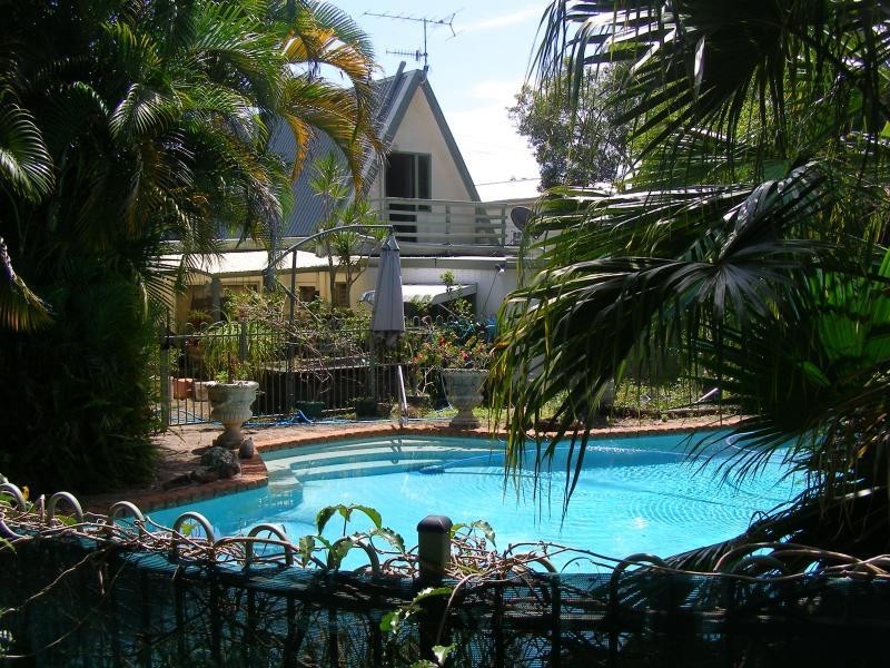 105  Moorindil St, Tewantin QLD 4565