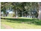 Tewantin QLD 4565