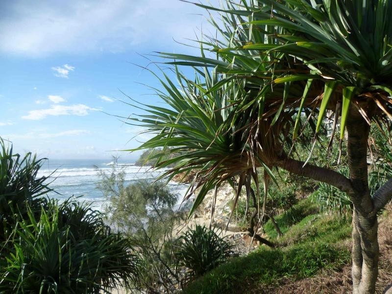 31 Crestview  Dr, Peregian Springs QLD 4573