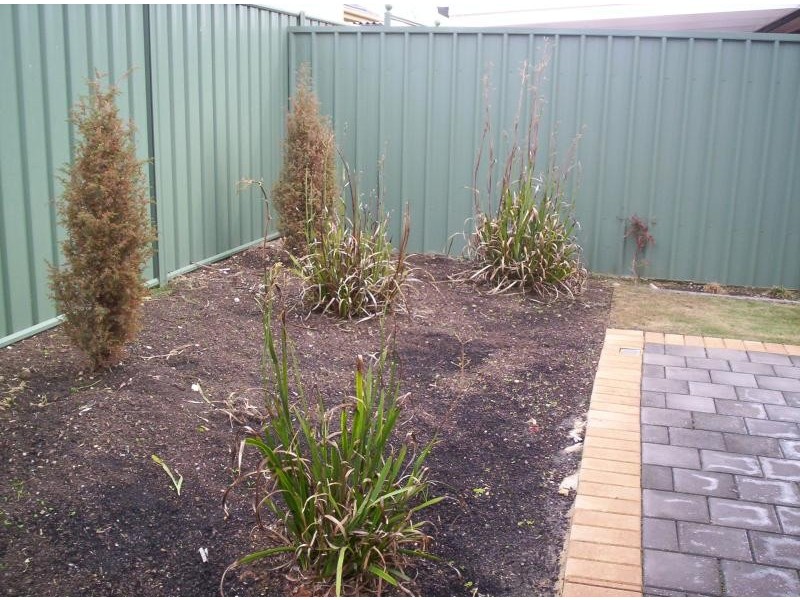 6 Mallard Crescent, Mawson Lakes SA 5095