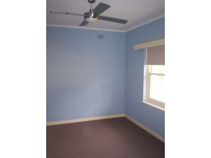 36 Elizabeth St, Prospect SA 5082