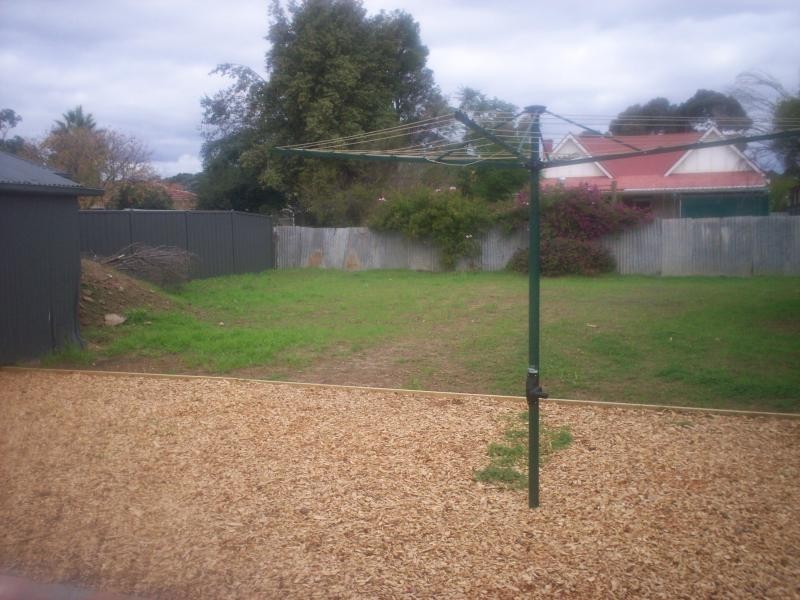 55 Livingstone Ave, Prospect SA 5082