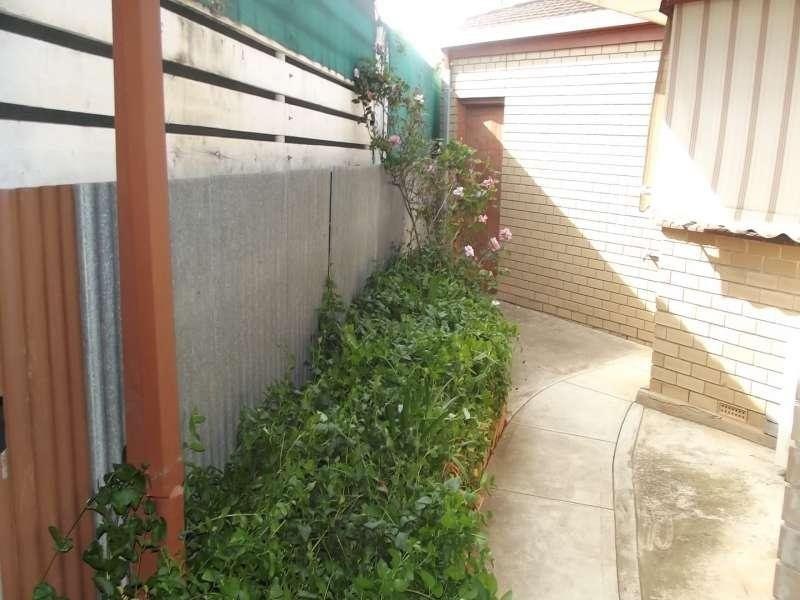 7 Rulana Ct, Kidman Park SA 5025