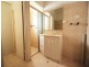 50 Whelan Ave, Camden Park SA 5038