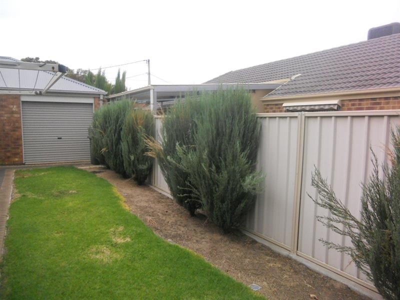 11A Morris Dr, Valley View SA 5093