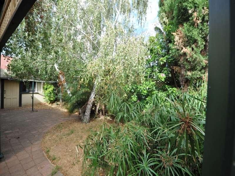 88 Galway Ave, Broadview SA 5083