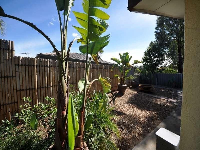 6 Carob Ct, Surrey Downs SA 5126