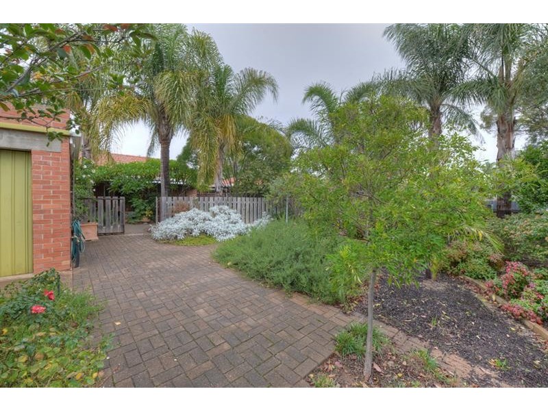 8 Jaffrey St, Blair Athol SA 5084