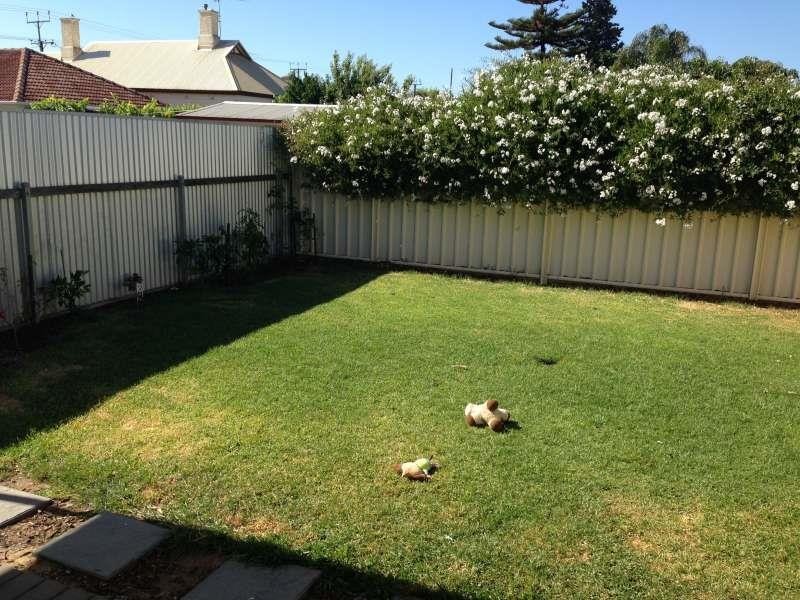 35A Bayly St, Hendon SA 5014