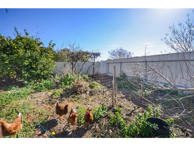 8 Moreshead St, Greenacres SA 5086