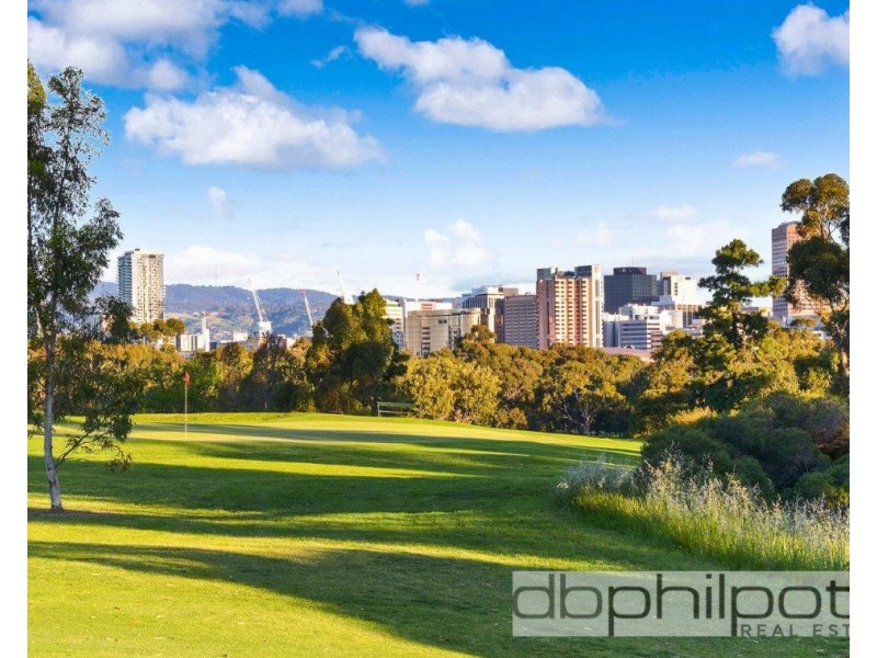 17 Strangways Place, North Adelaide SA 5006