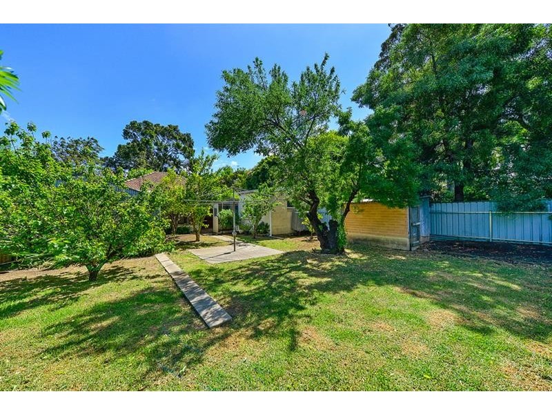 81 Olive St, Prospect SA 5082