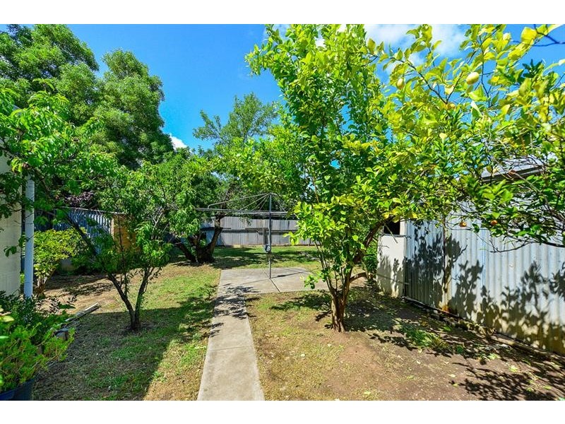 81 Olive St, Prospect SA 5082