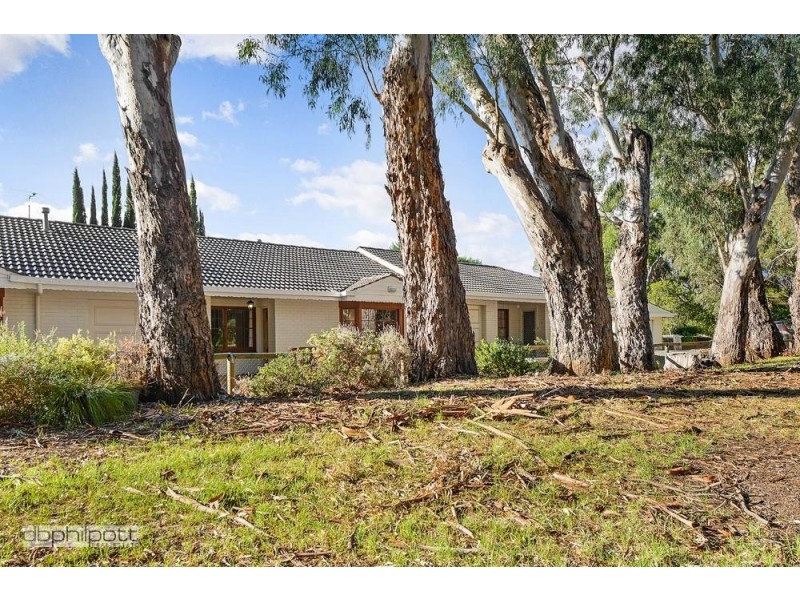 4/38 Freeman Avenue, Tranmere SA 5073