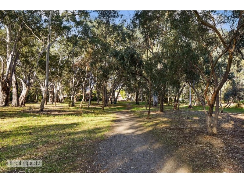 4/38 Freeman Avenue, Tranmere SA 5073