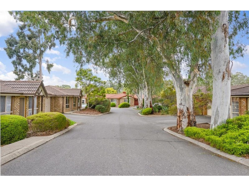 22/14 Crozier Avenue, Modbury SA 5092