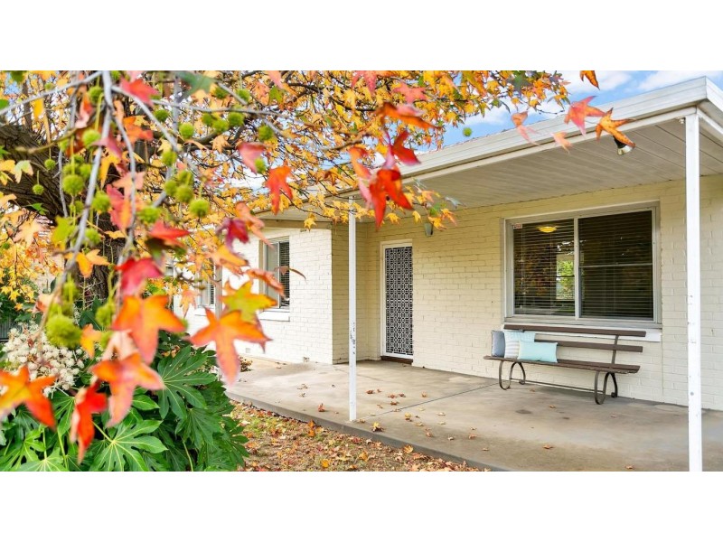 5 Salrak Avenue, Marion SA 5043