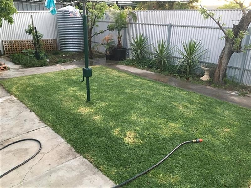 17 Audley Avenue, Prospect SA 5082