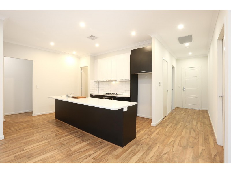 6 Mcewin Street, Renown Park SA 5008