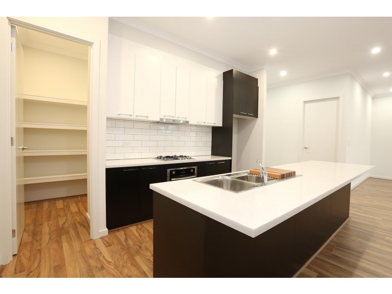 6 Mcewin Street, Renown Park SA 5008