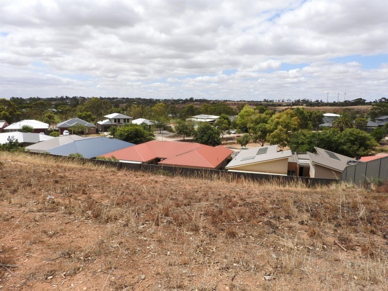 20 Narooma  Way, Murray Bridge SA 5253